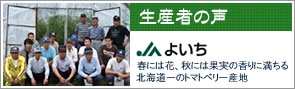 生産者の声